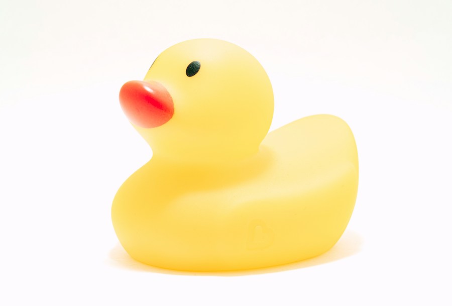 Your fourth colleague, a rubber duck.